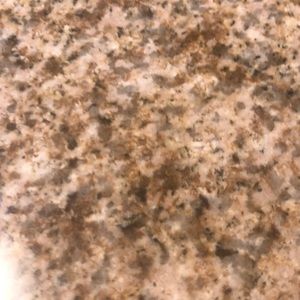 Meet your Posher, Ana